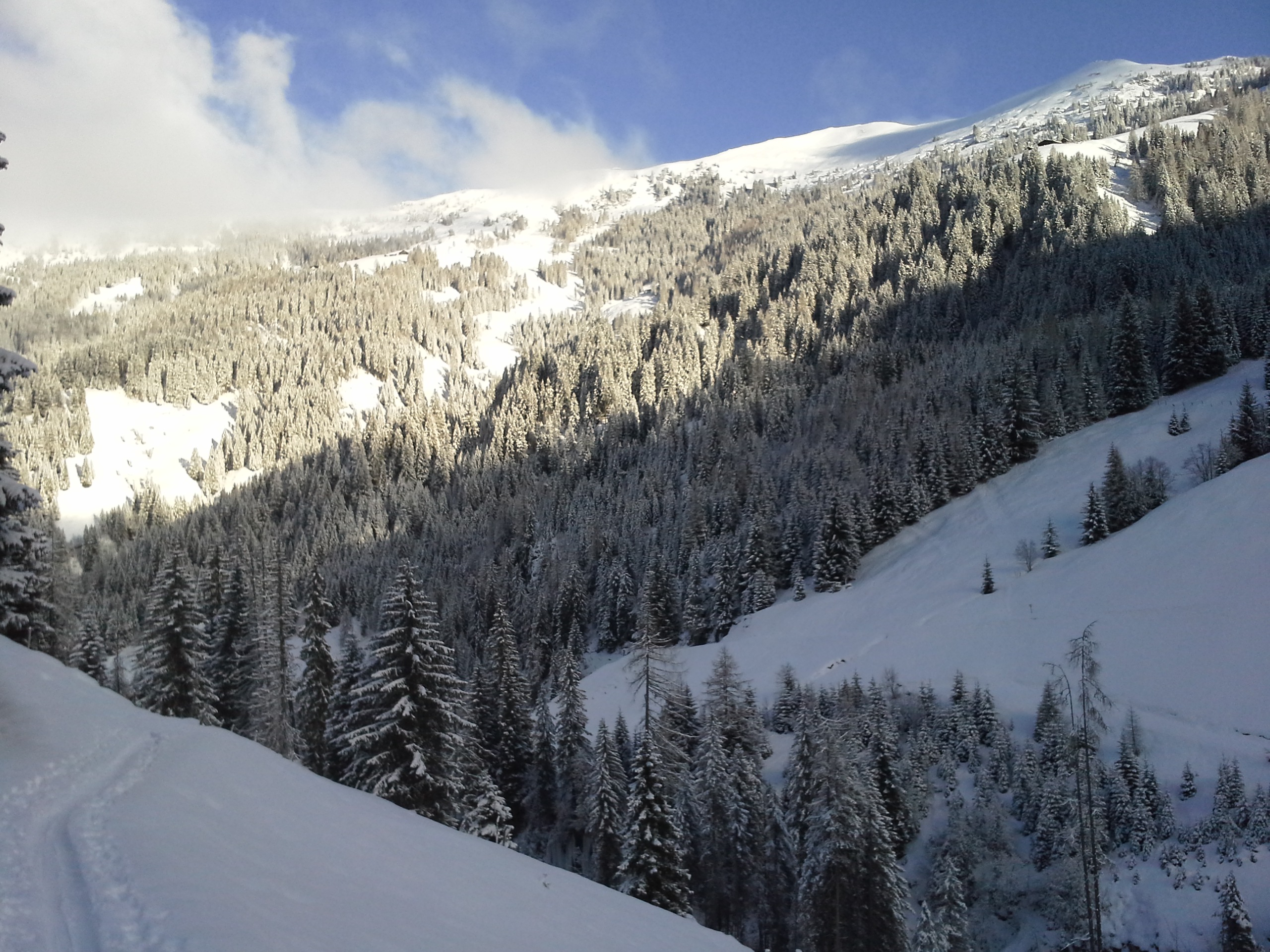 Schneeschuhwanderung - Ellmautal