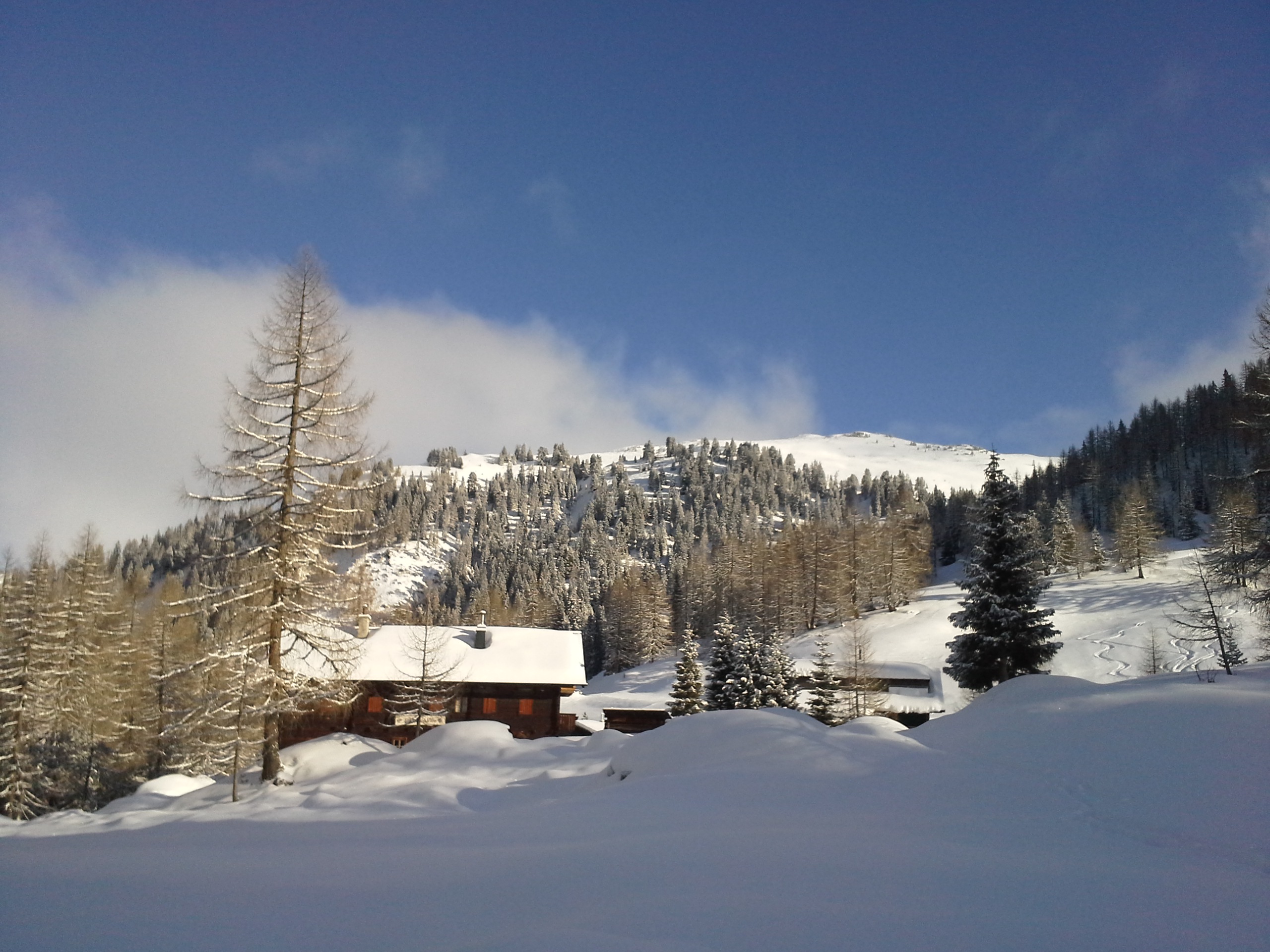 Die Filzmoosalm - im Hintergrund der Loosbühel, 1.984 m