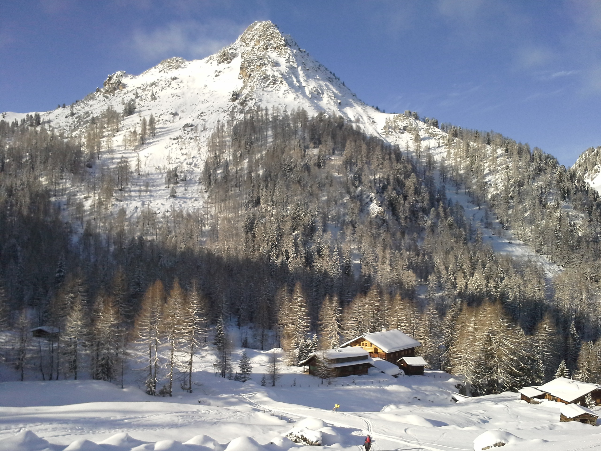 Filzmoosalm und der Große Schneibenstein