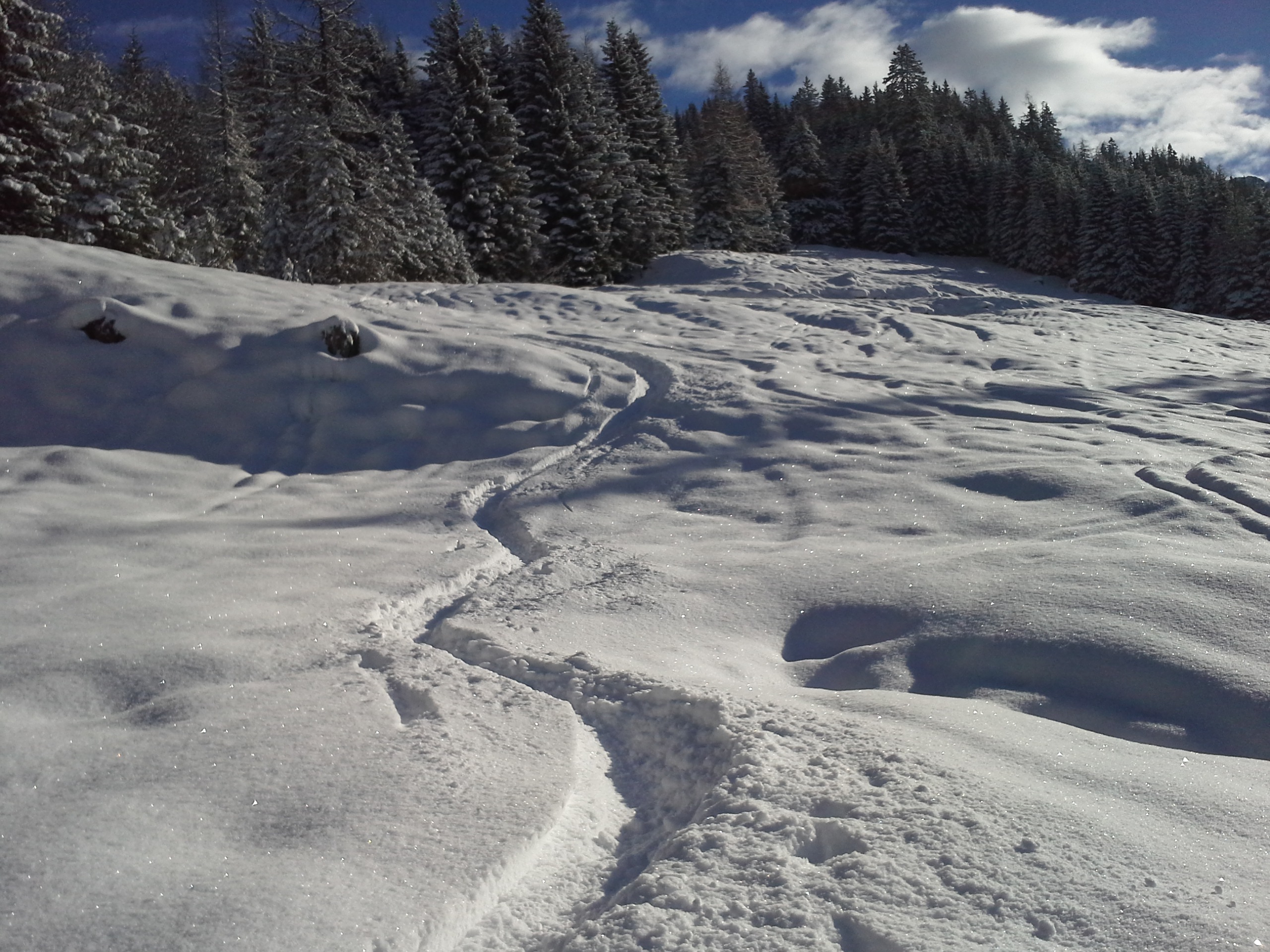 Pulver vom Feinsten!