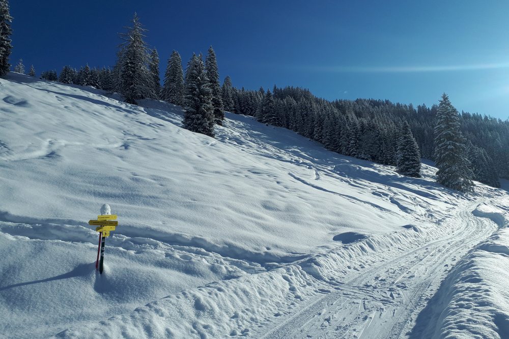 Skitour zur Loosbühelalm