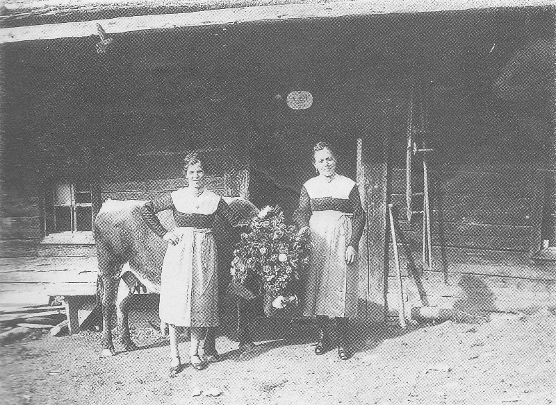 Almabtrieb auf der Karseggalm von langer Zeit