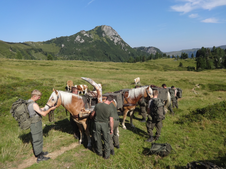 Haflingerpferde transportieren das neue Kreuz bis zum Filzmoossattel