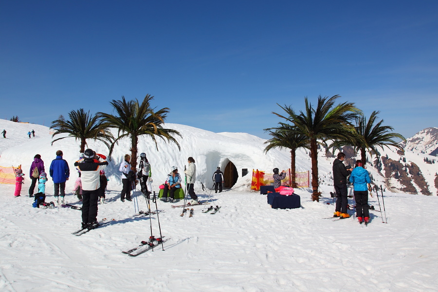 "Palmenstrand" am Schnee-Iglu