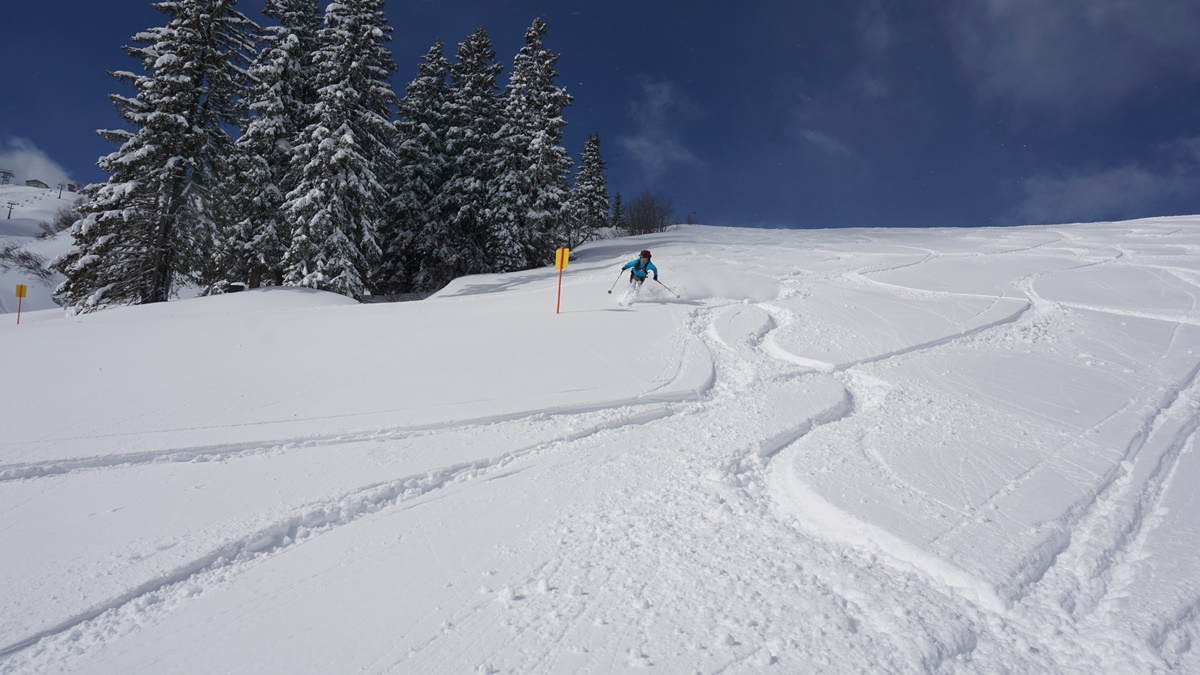 Ein Vorteil bei der Arbeit in der LWK - man ist oft der erste in einem unverspurten Hang
