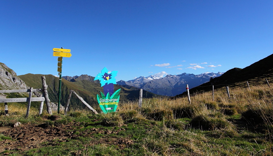 Am Filzmoossattel kreuze ich den "Salzburger Almenweg"