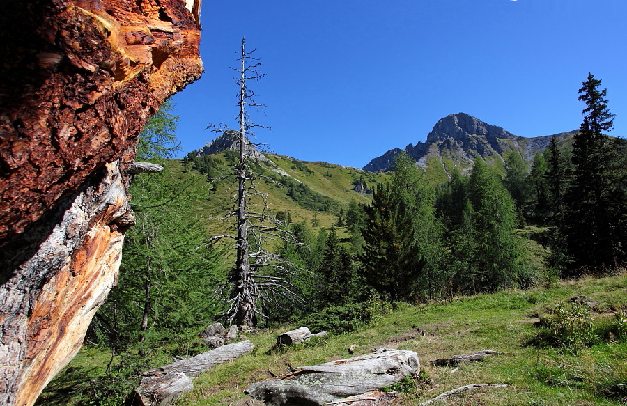 Blick zum Draugstein