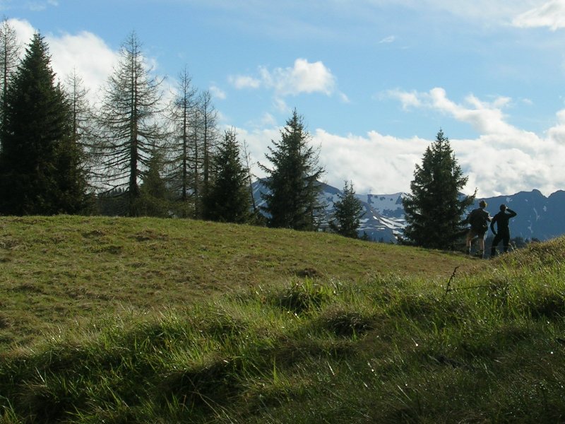 Ausblicke