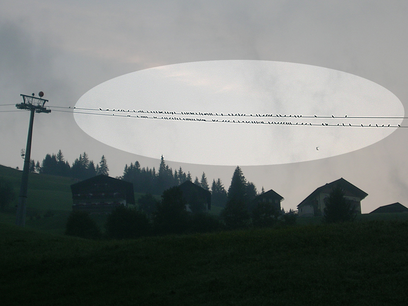 Der Schlafplatz der Rabenkrähen an der Hochbrandbahn