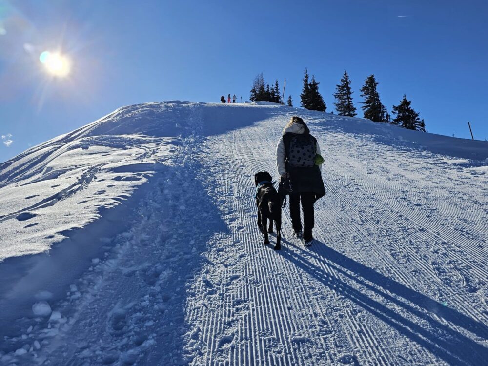 Winterurlaub mit Hund