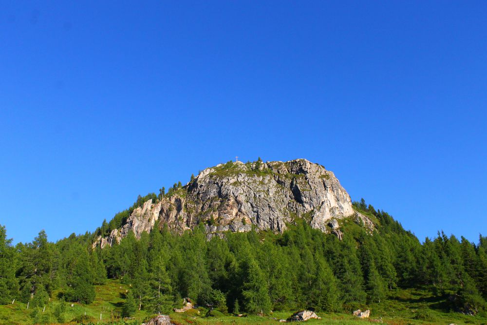 Saukarkopf