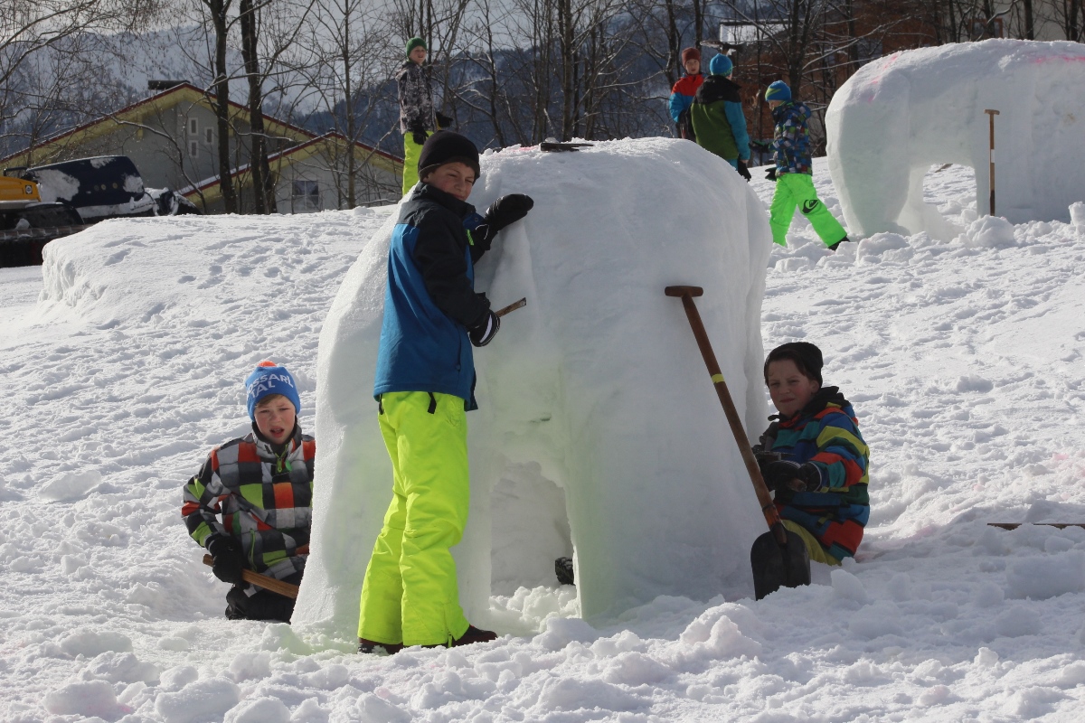 Eisbär im Feinschliff