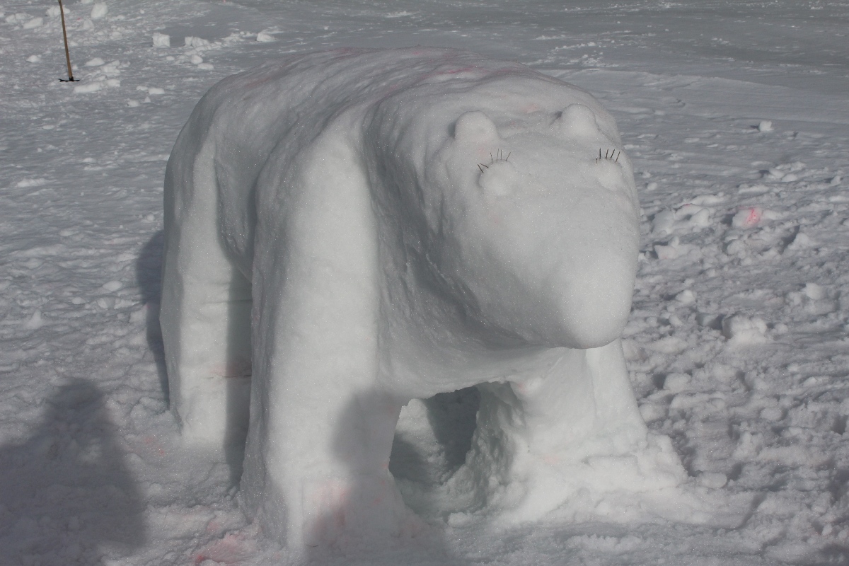 Eisbär in allen Details