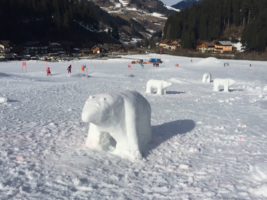 Die Eisbären der Fischbacherwiese