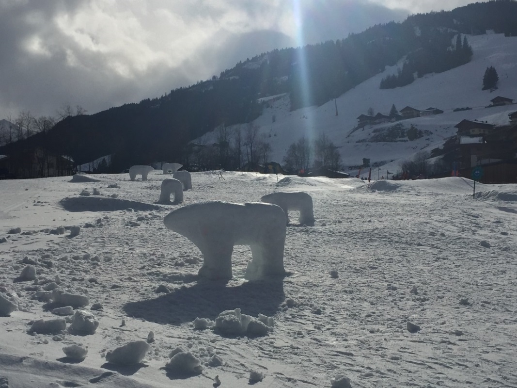 Die Eisbären der Fischbacherwiese