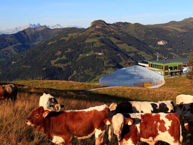 Großarltaler Riesen-Schnee-Iglu am Sommerberg