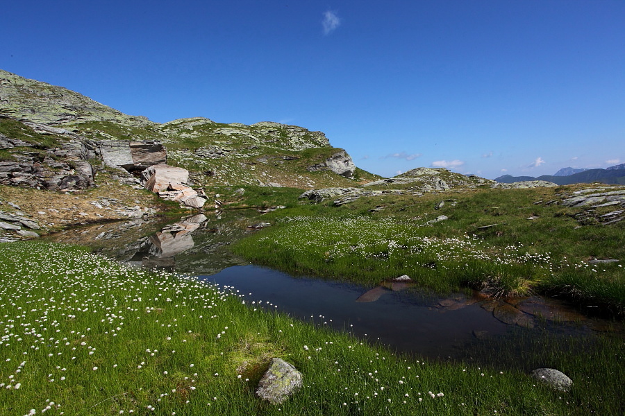 Üppige Natur