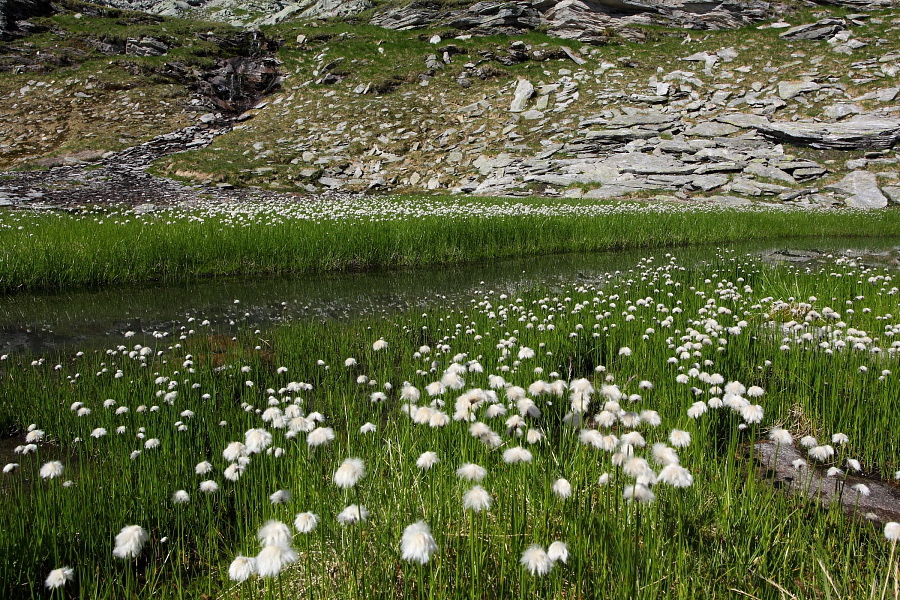 Hier tobt sich die Natur nochmals aus und zeigt was sie kann ...