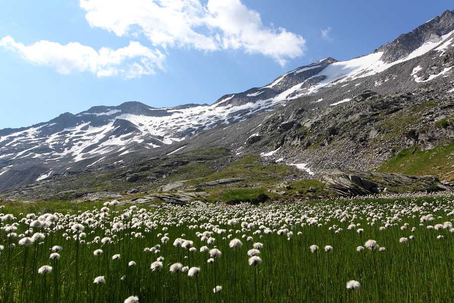 Blick zum Keeskogel