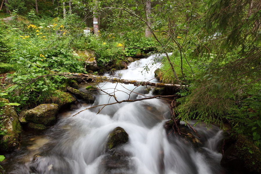 Rauschend und tosend kommt der Schöderbach den Berg herab