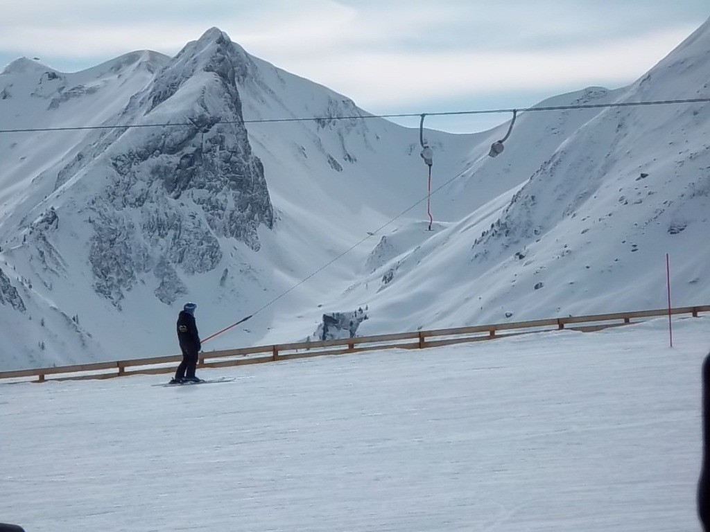 Naturschauspiel der Berge - Kuh im Großarltal