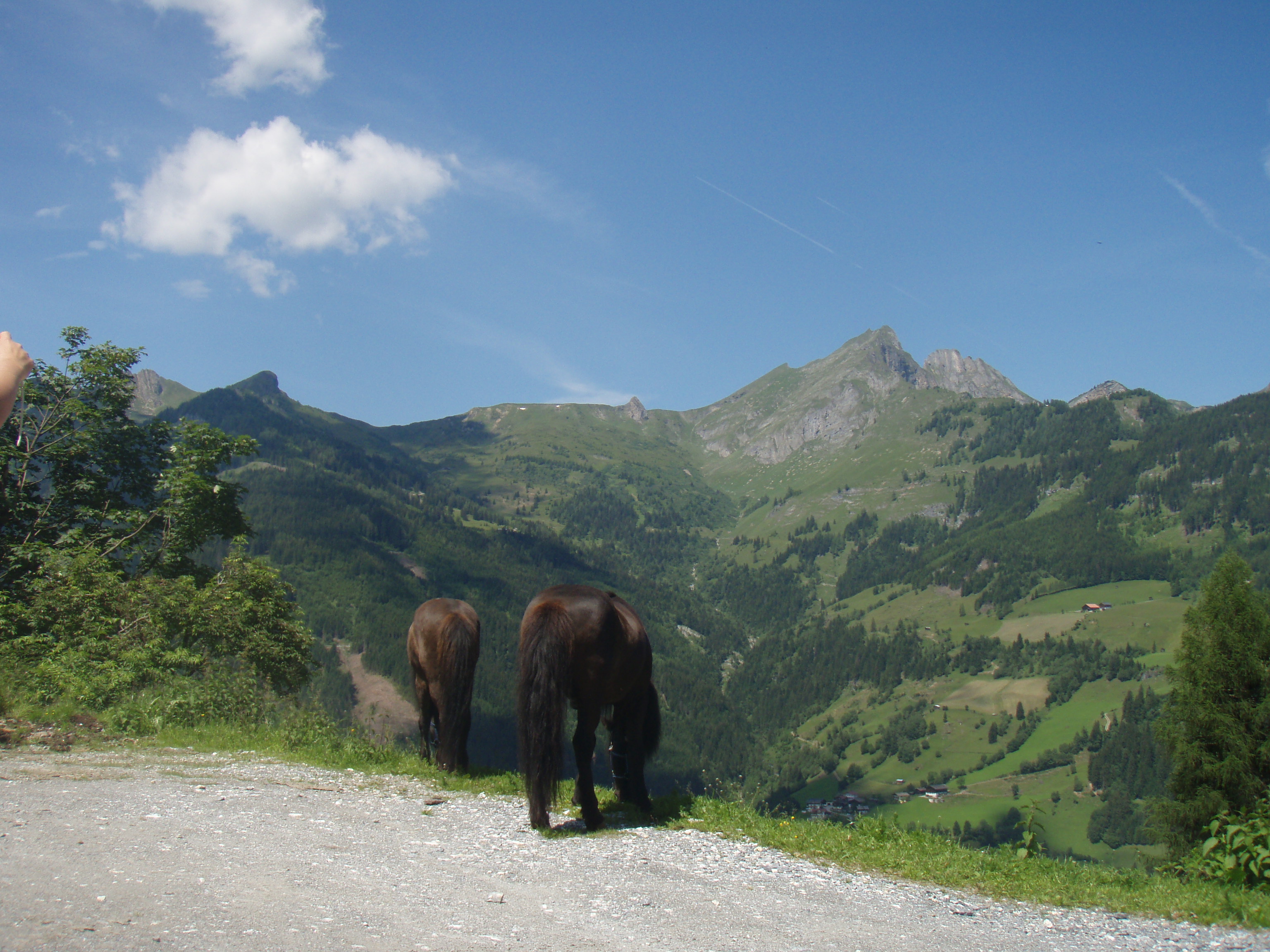Familienwanderung auf die Heugathalm