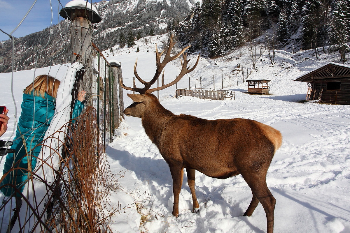 Wer betrachtet hier wohl wen ... ?