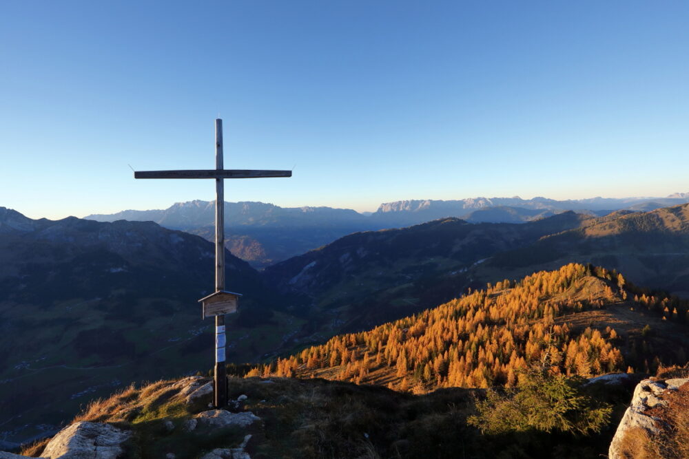 Saukarkopf im Herbst