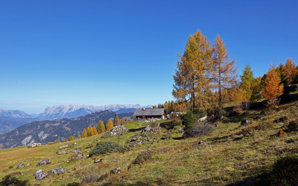 Saukaralm im Herbst