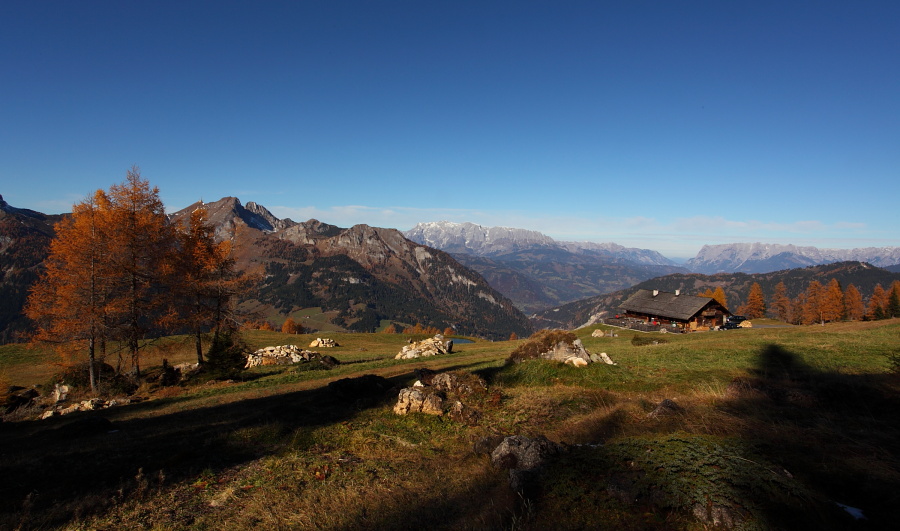 Saukaralm Großarltal