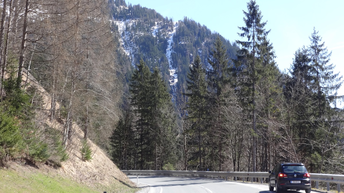 Sicht von der Großarler Landesstraße nun nach oben zu den Lawinenstrichen in den Einhängen des Alpendorfes