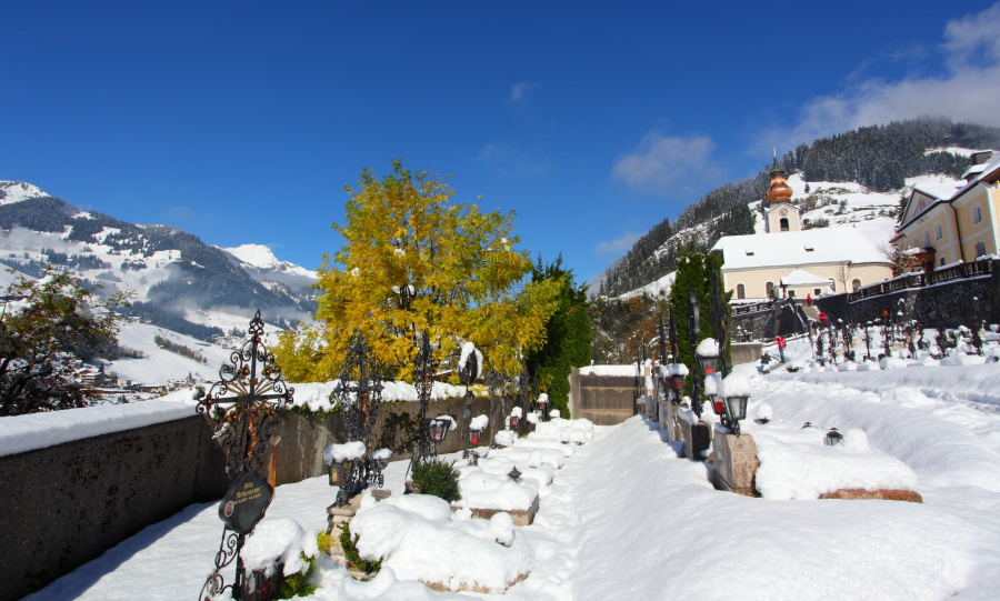 Dieser Baum hat den Schneemassen getrotzt