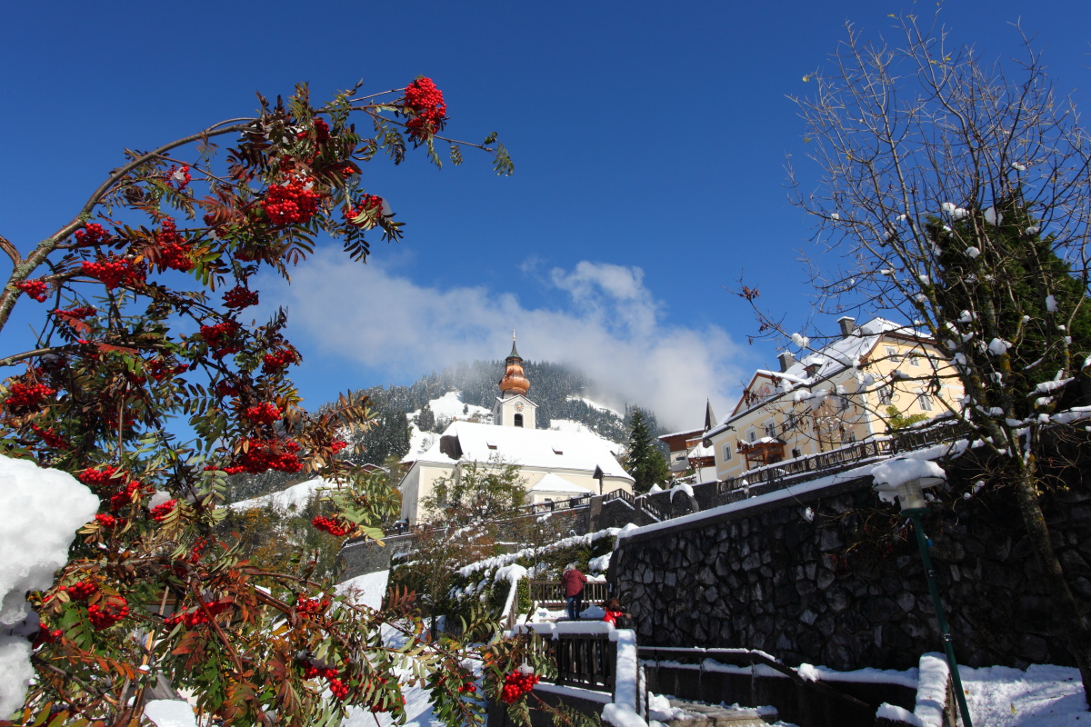 Nun weicht der Winter wieder dem Herbst