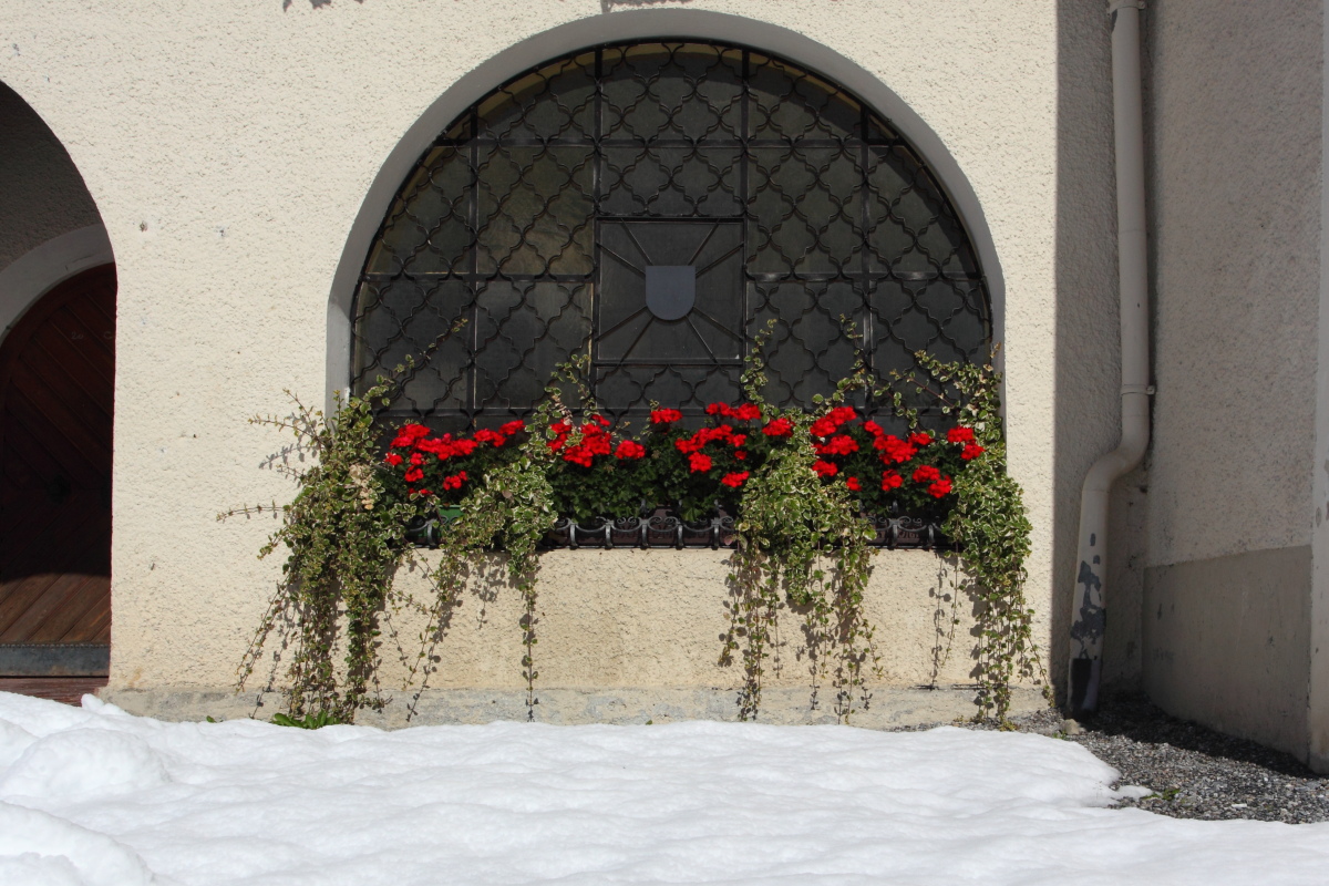 Blumen und Schnee - hier am Eingang zur Kirche