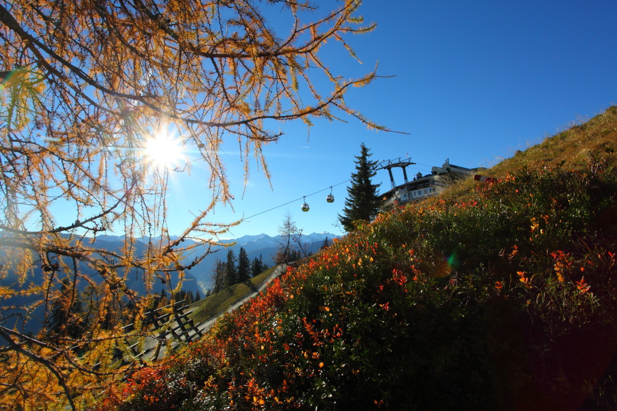 Herbst an der Panoramabahn-Bergstation