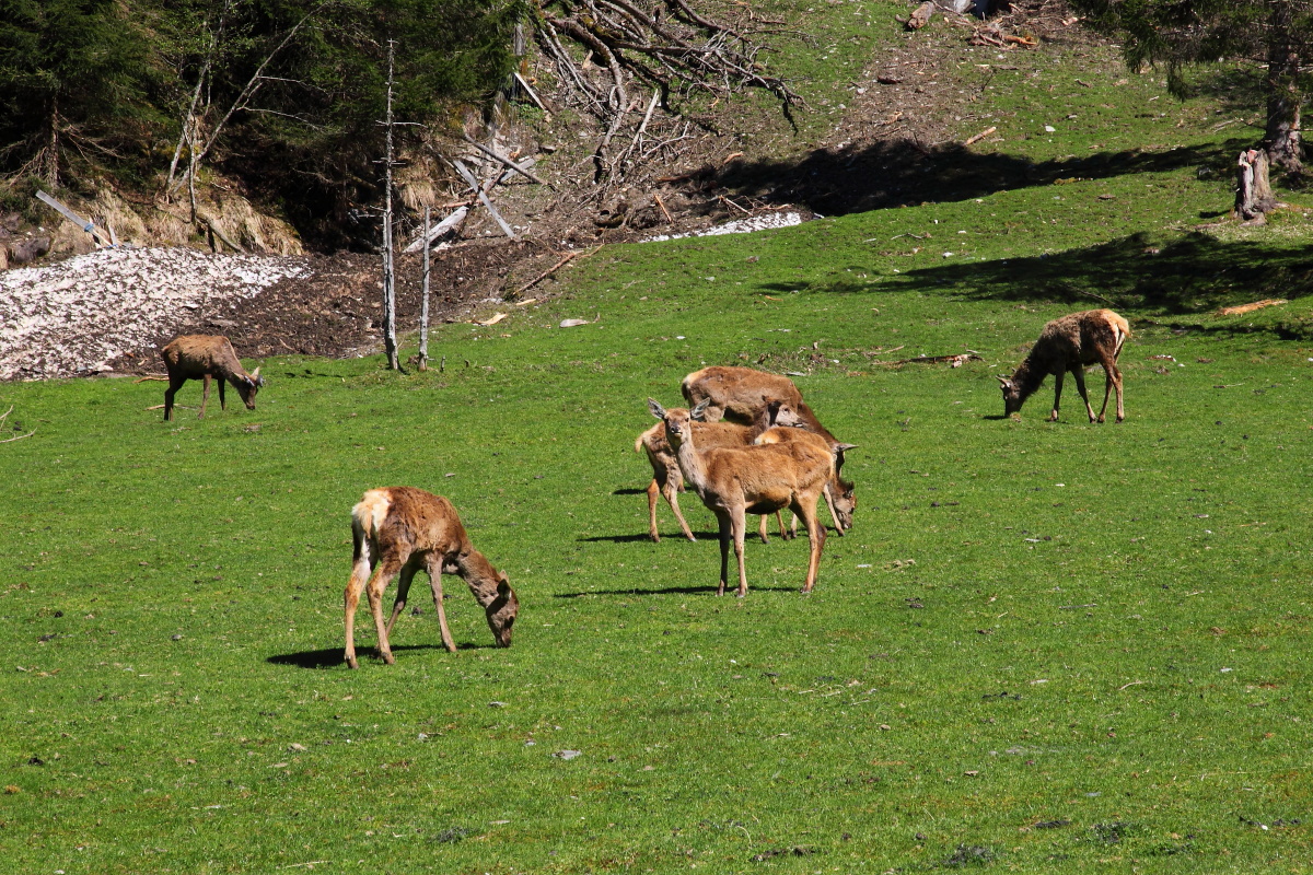 Na, was guckst du so? Fragt sich bloß, wer fragt da wen?