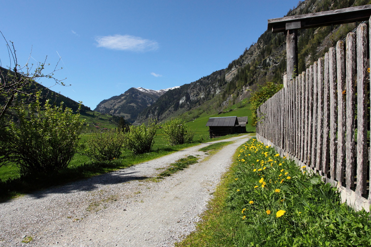 Feldweg beim Stockhambauer