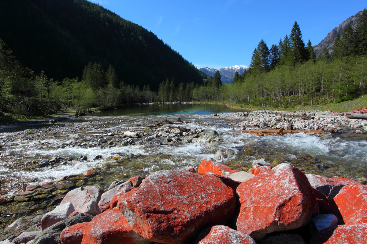 Blick auf den Ötzlsee. Die roten Steine im Vordergrund sind bewachsen von der Grünalge