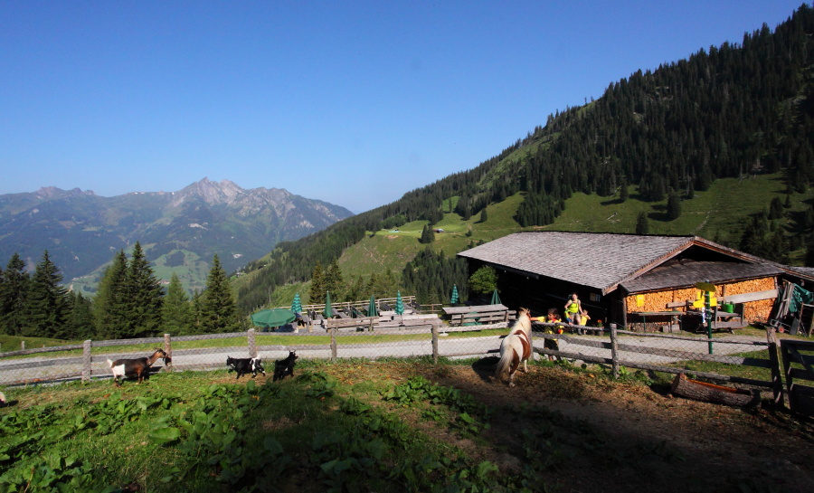 Kurzer Stopp an der Karseggalm