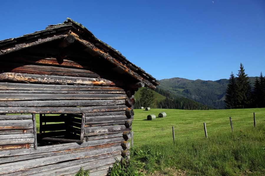 Heustadl am Almtor vor der Unterwandalm