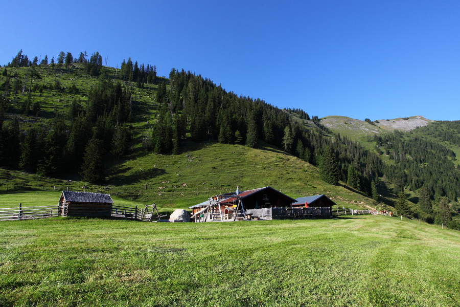 Unser Ziel, die Unterwandalm ("Wandlnalm") ist erreicht