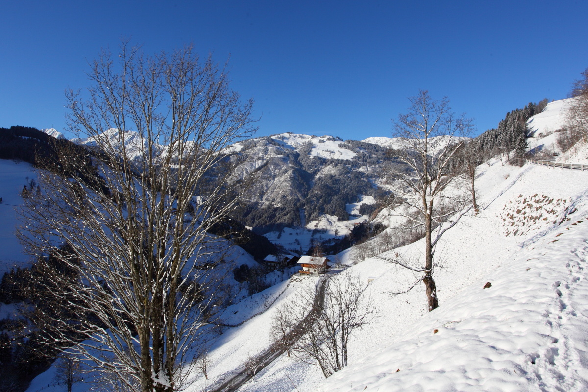 Großarl, 28. Nov. 2015, 9.00 Uhr am Stadluckweg