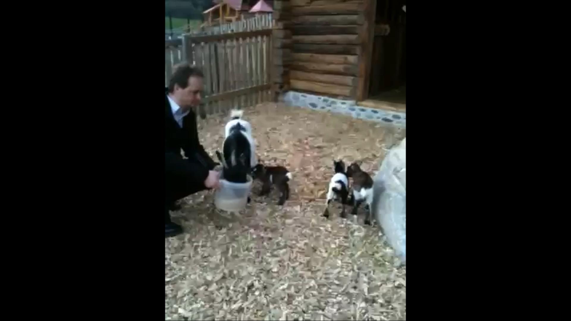 Rucki Zucki hat neue Freunde bekommen