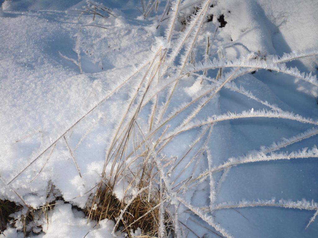 "Eiskristalle" - geerothe@online.de