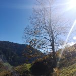 Herbstwanderung Gretchen Ruhe in Großarl