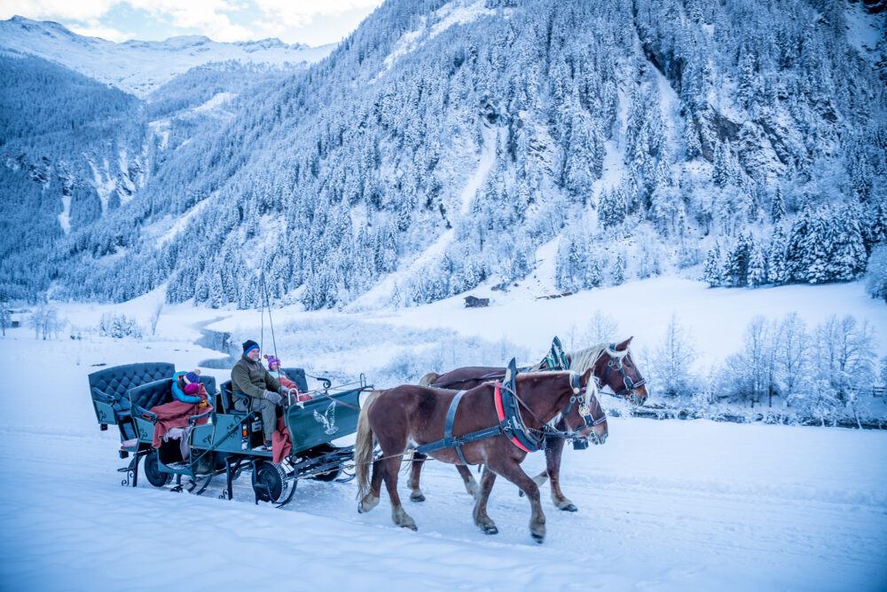 Pferdeschlittenfahrt © Gipfelfieber